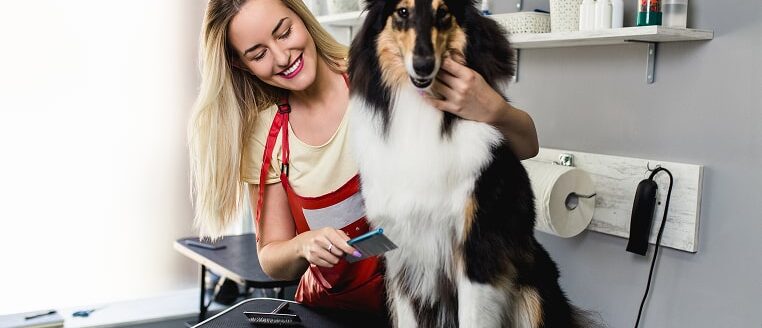 img-postgrid2 img-postgrid2