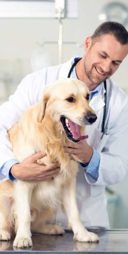 fur-n-paws-doctor-bhavin-1