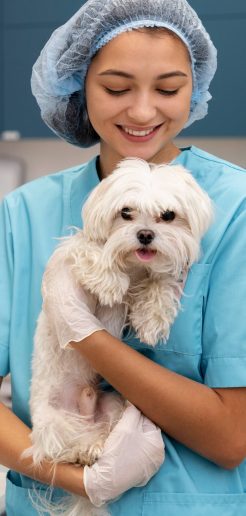 fur-n-paws-doctor-bhavin-2